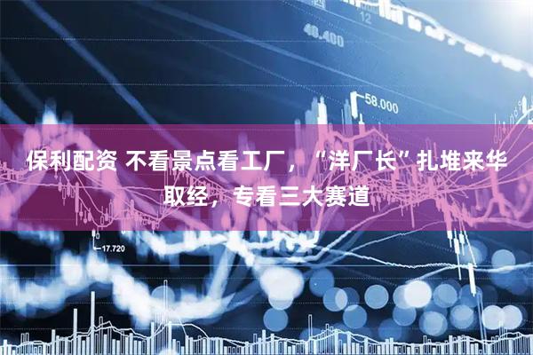 保利配资 不看景点看工厂，“洋厂长”扎堆来华取经，专看三大赛道