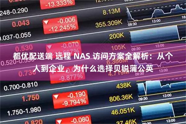 都优配送端 远程 NAS 访问方案全解析:从个人到企业,为什么选择贝锐蒲公英