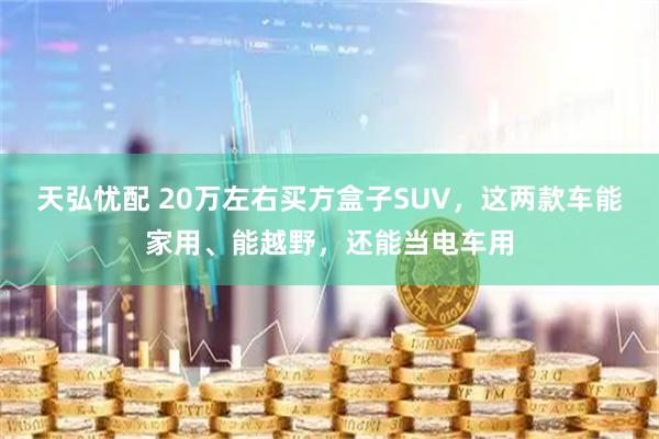 天弘忧配 20万左右买方盒子SUV，这两款车能家用、能越野，还能当电车用